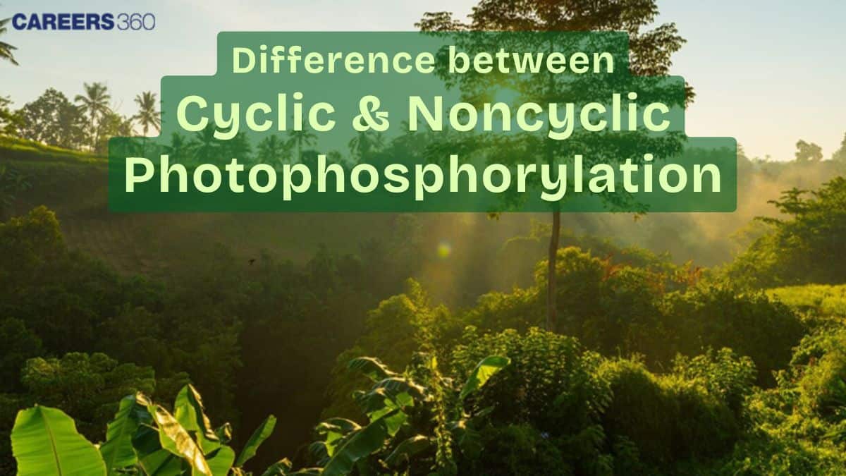 Difference Between Cyclic And Noncyclic Photophosphorylation: Noncyclic Photophosphorylation